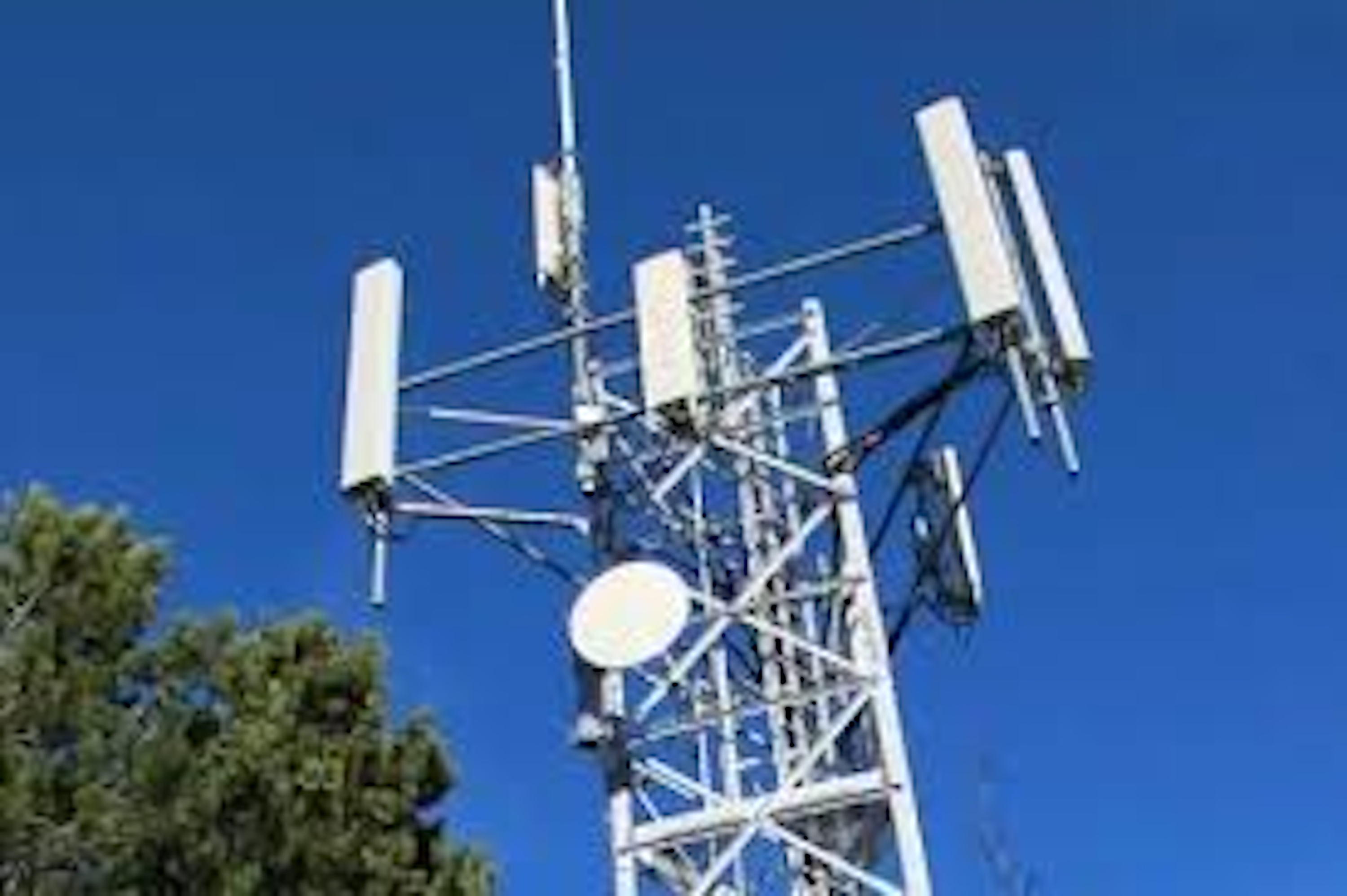 Router